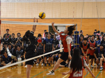 DSC_2752 (4)